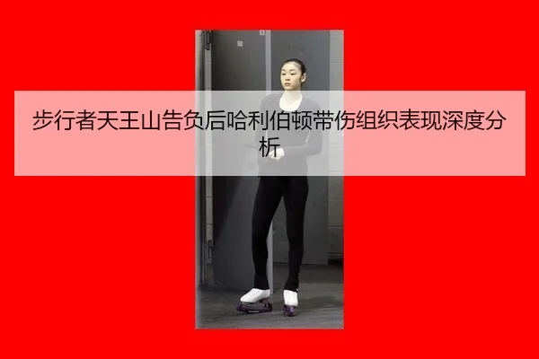 bu-xing-zhe-tian-wang-shan-gao-fu-hou-ha-li-bo-dun-dai-shang-zu-zhi-biao-xian-shen-du-fen-xi-2-862.jpg